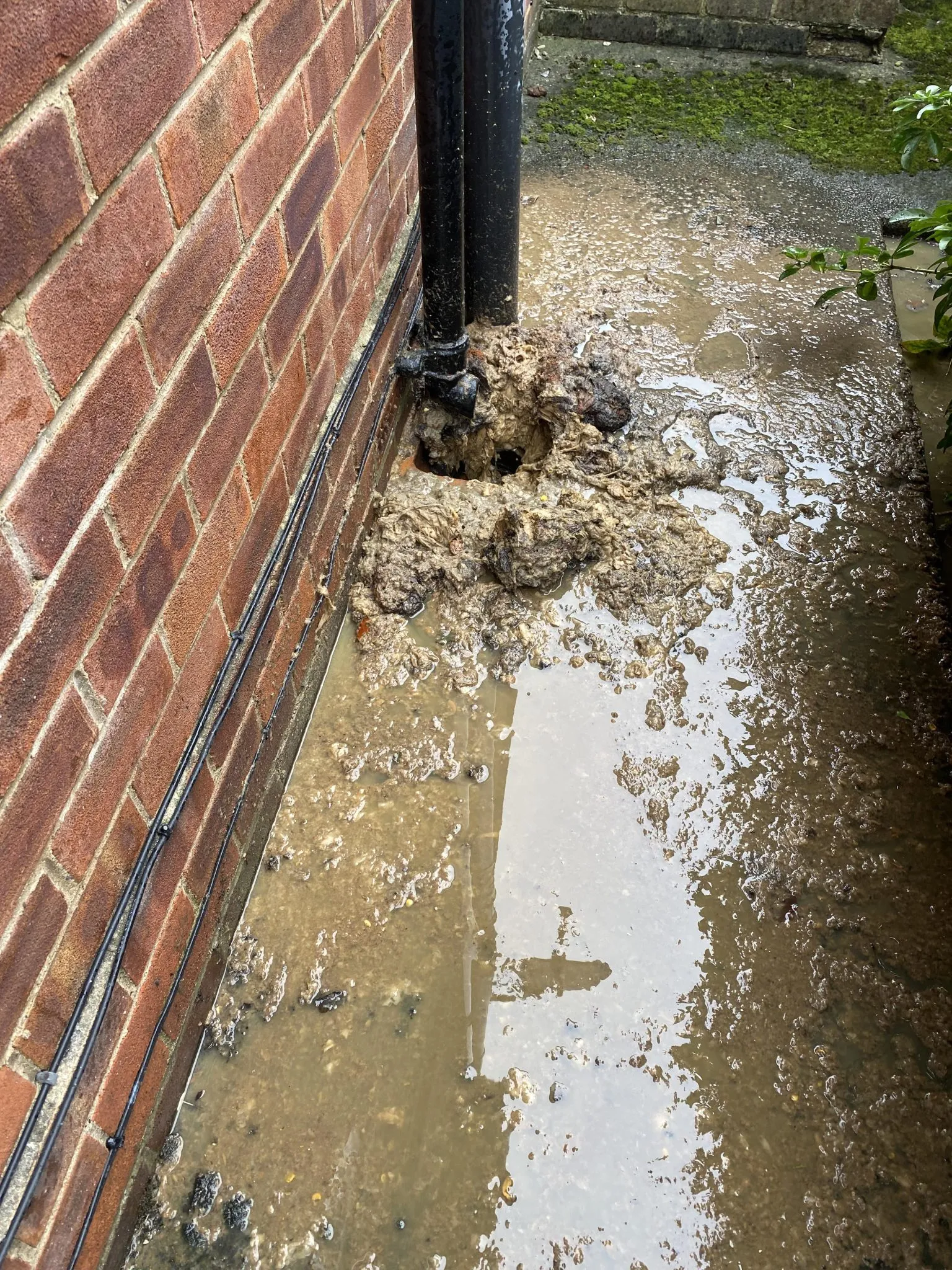 Image showing a blocked drain overflowing with sewage and dirty water.